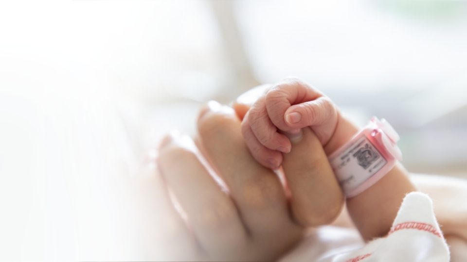 Newborn baby hand wrapped around adult finger