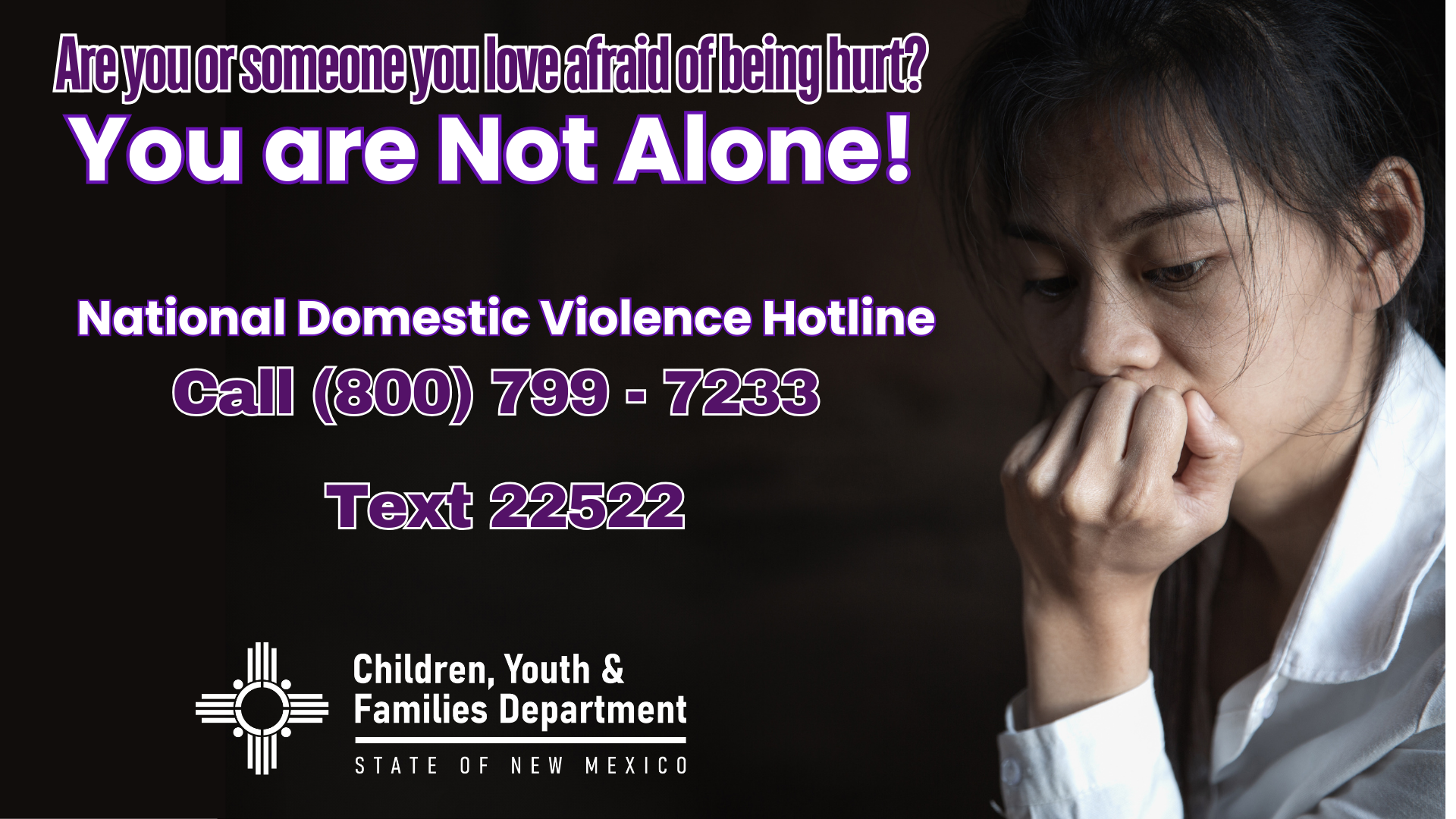 Domestic Violence Hotline Services Phone Numbers and Text